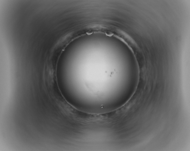 X0000114161111200910081347