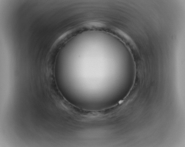 X0000114161112200910081348