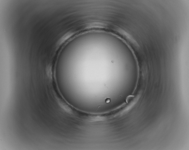 X0000114161113200910081348
