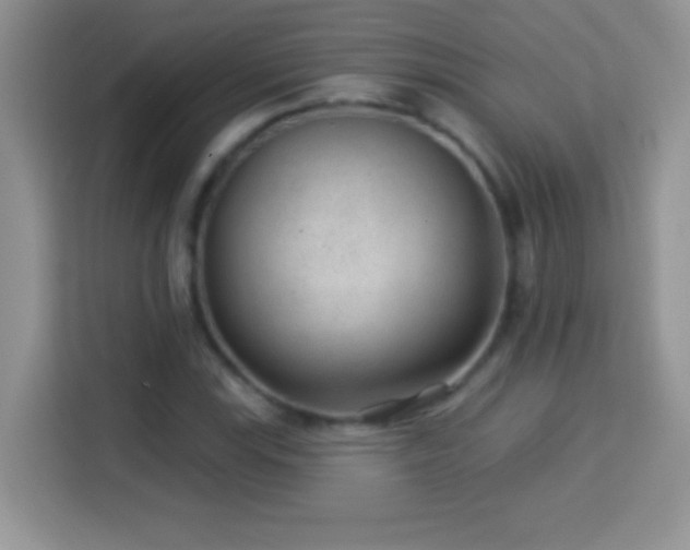 X0000114161115200910081348