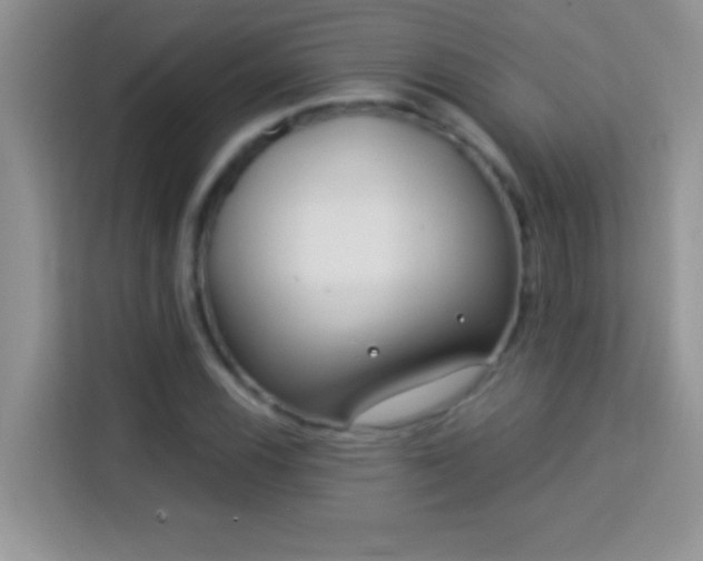 X0000114161116200910081348