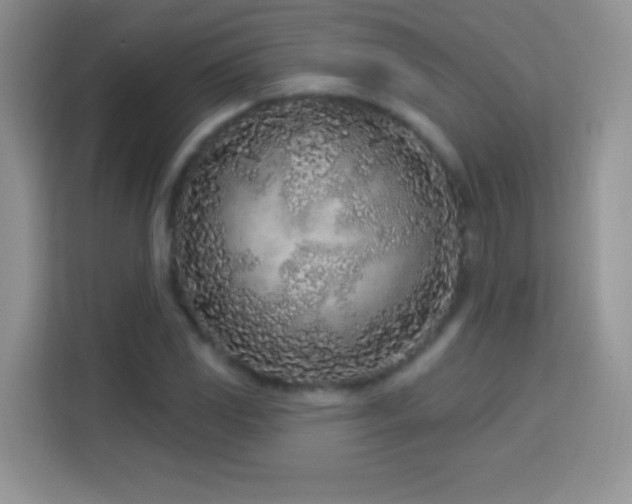 X0000114161117200910081348