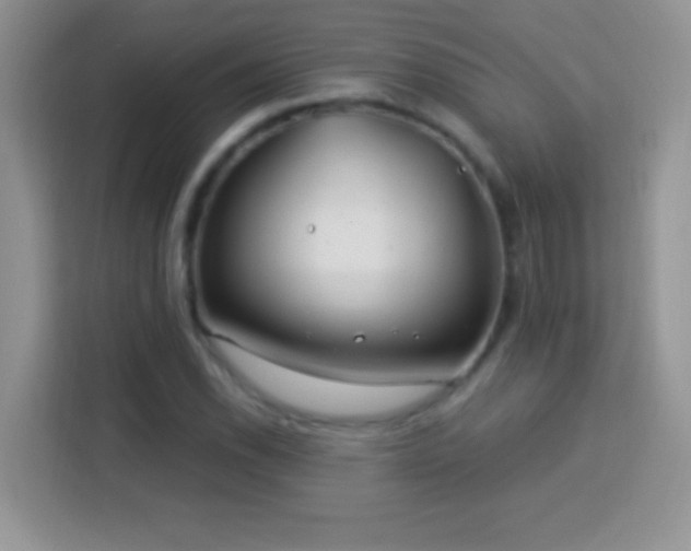 X0000114161118200910081348