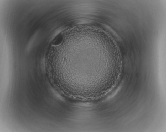 X0000114161121200910081348