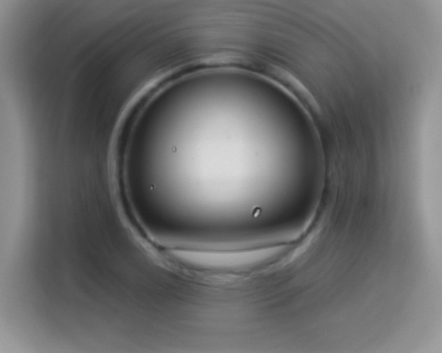 X0000114161122200910081348