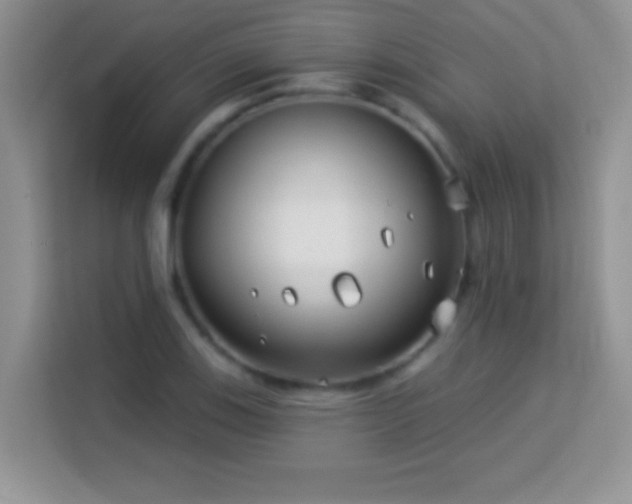 X0000114161123200910081348
