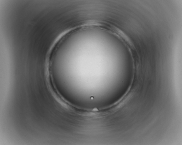 X0000114161124200910081348