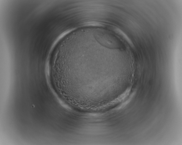 X0000114161125200910081348