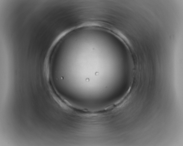 X0000114161127200910081348