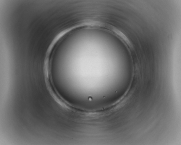 X0000114161128200910081348