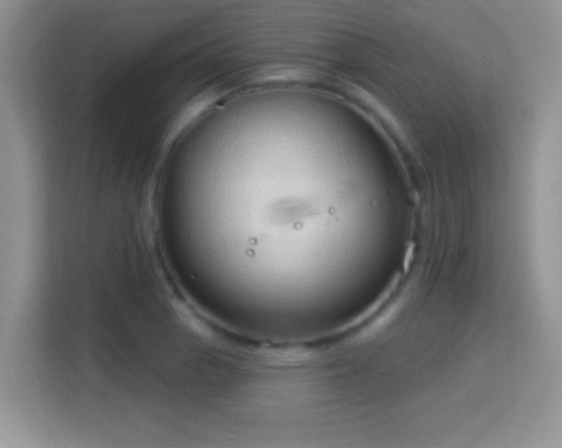 X0000114161129200910081348