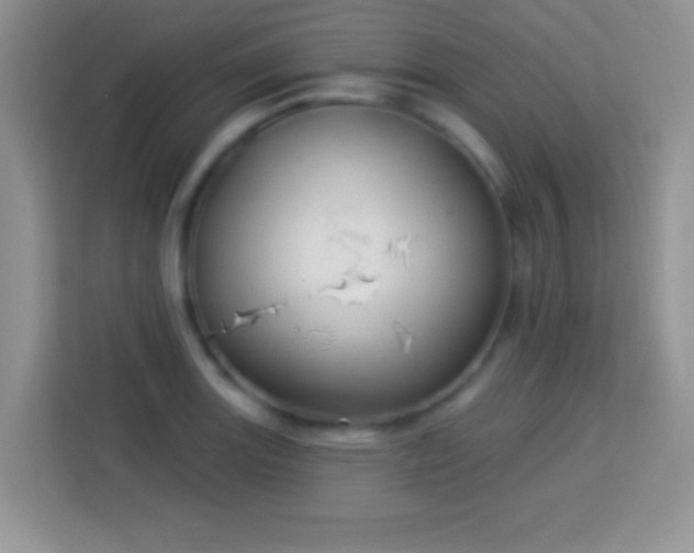 X0000114161131200910081348
