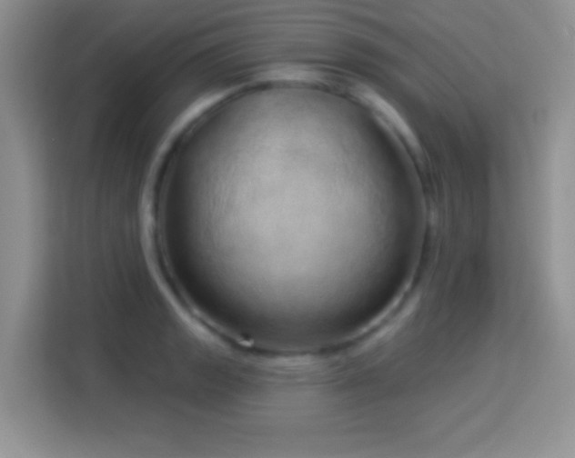 X0000114161133200910081348