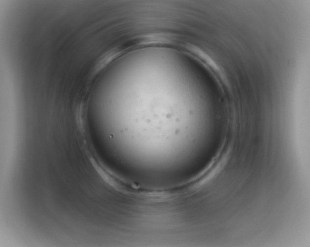 X0000114161137200910081348