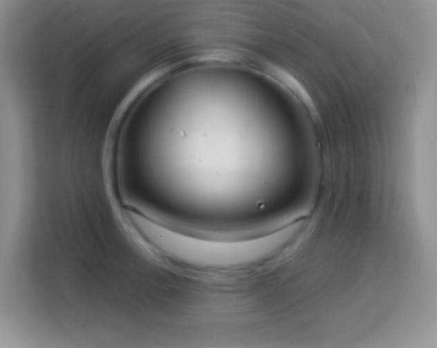 X0000114161138200910081348