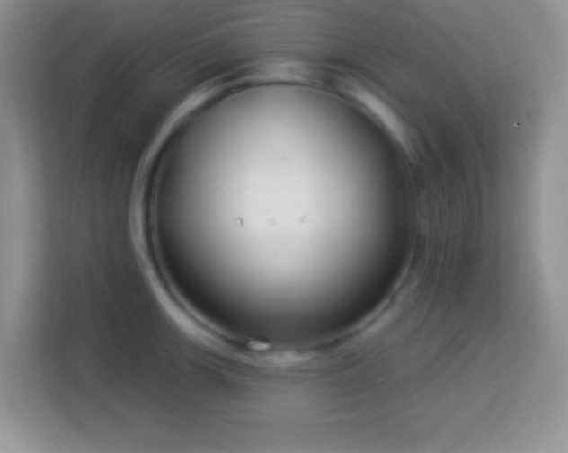 X0000114161139200910081348