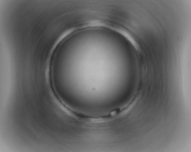 X0000114161142200910081348