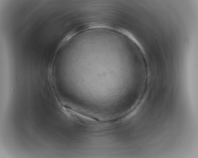 X0000114161145200910081348