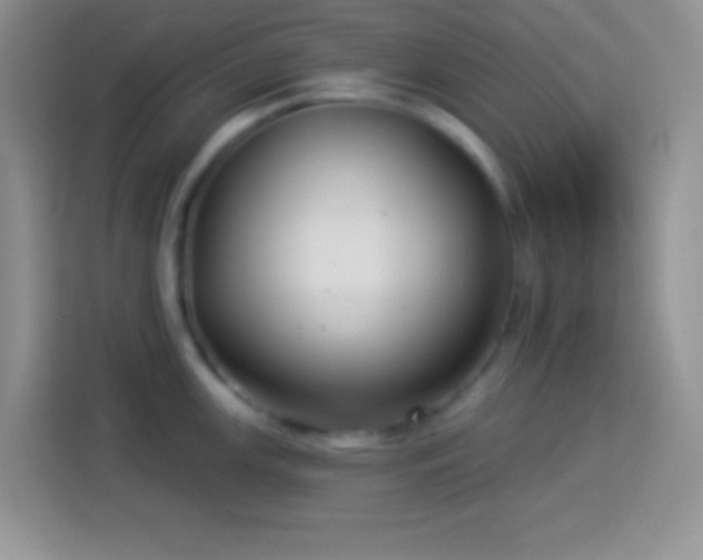 X0000114161147200910081348