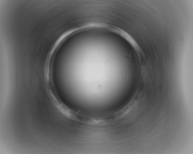 X0000114161148200910081348