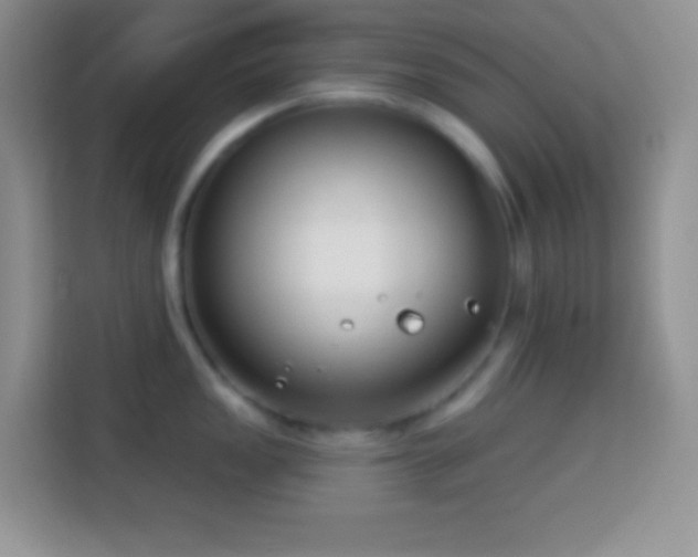 X0000114161149200910081348