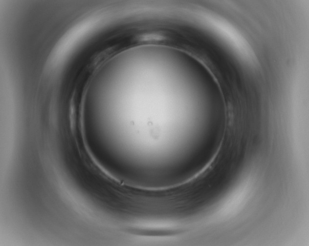 X0000114161151200910081348
