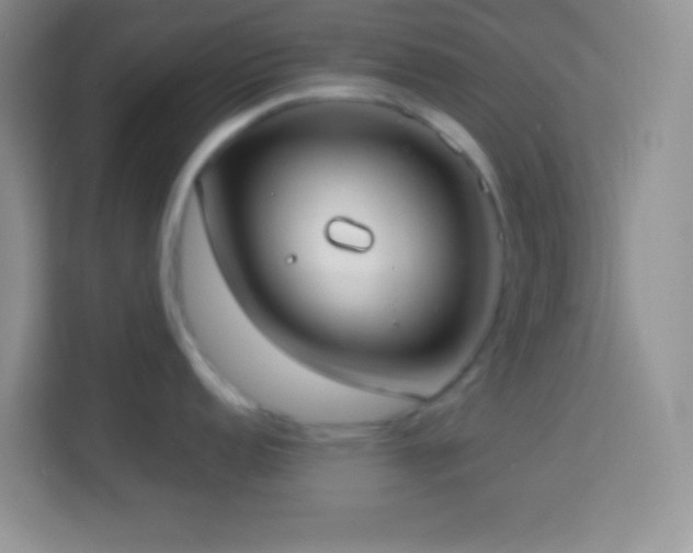 X0000114161152200910081348