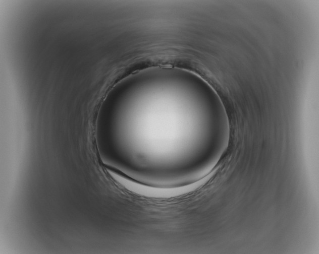 X0000114161153200910081347