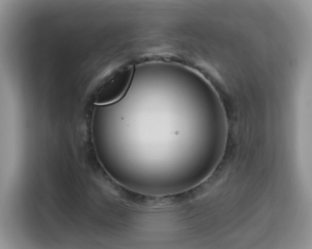 X0000114161159200910081347