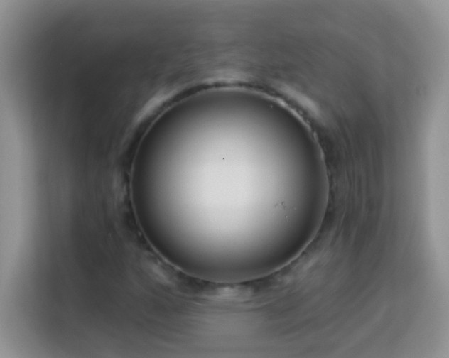 X0000114161160200910081347