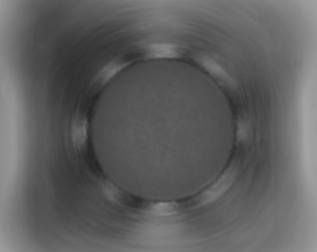 X0000114161161200910081347