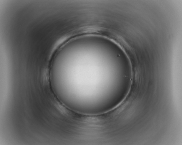 X0000114161164200910081347