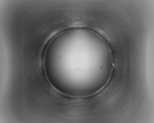 X0000114161167200910081347