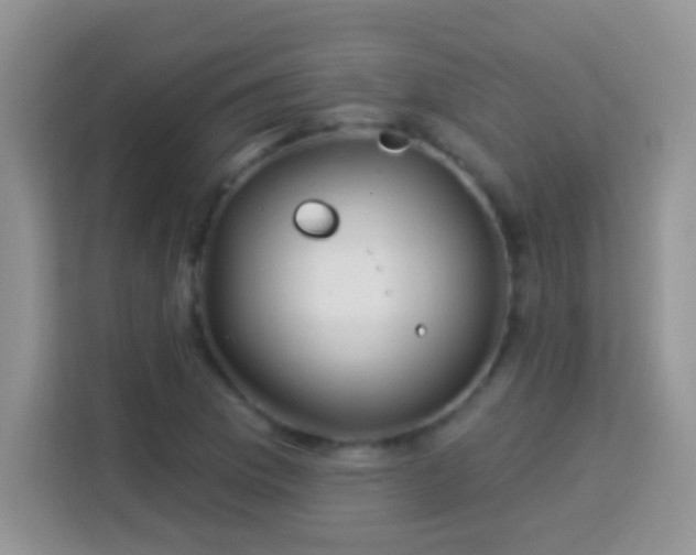 X0000114161169200910081347
