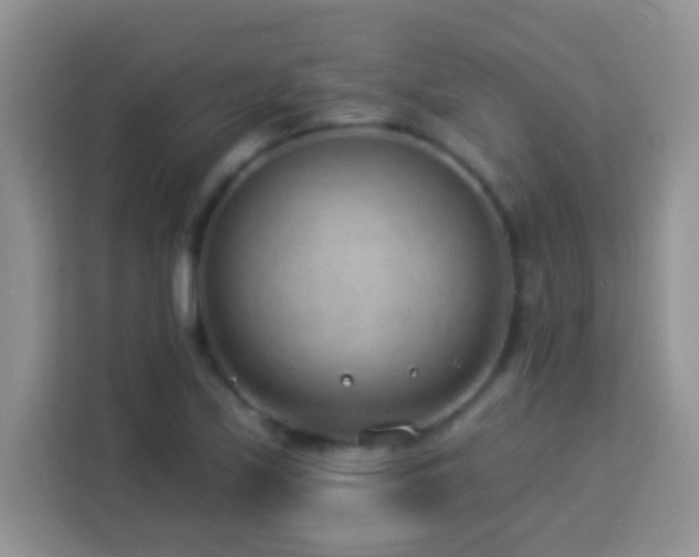X0000114161171200910081347