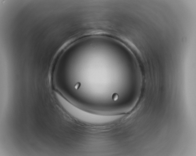 X0000114161173200910081347