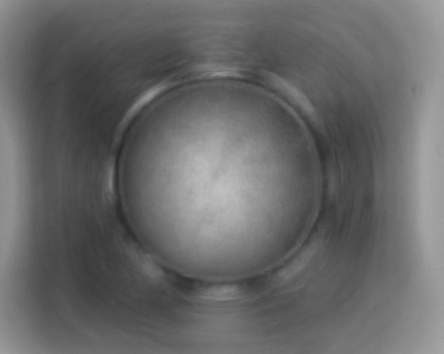 X0000114161174200910081347