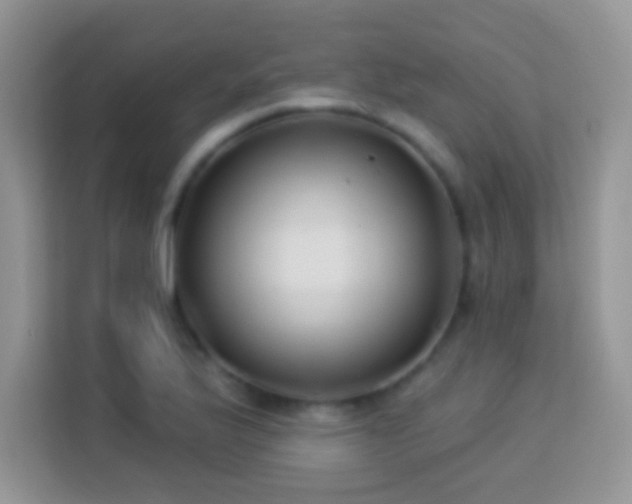 X0000114161175200910081347
