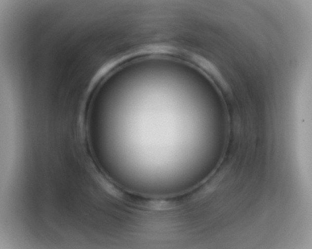 X0000114161176200910081347