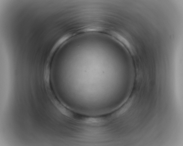 X0000114161179200910081347