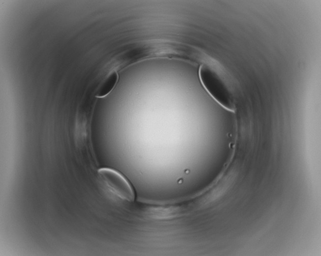 X0000114161185200910081347