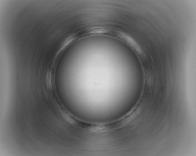 X0000114161186200910081347
