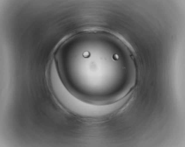 X0000114161189200910081347