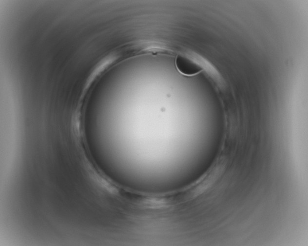 X0000114161190200910081347