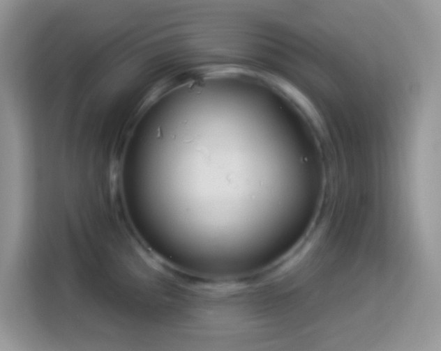 X0000114161193200910081347