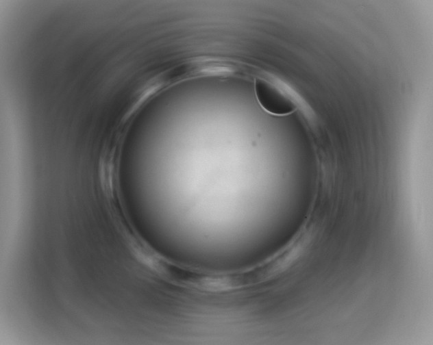 X0000114161194200910081347