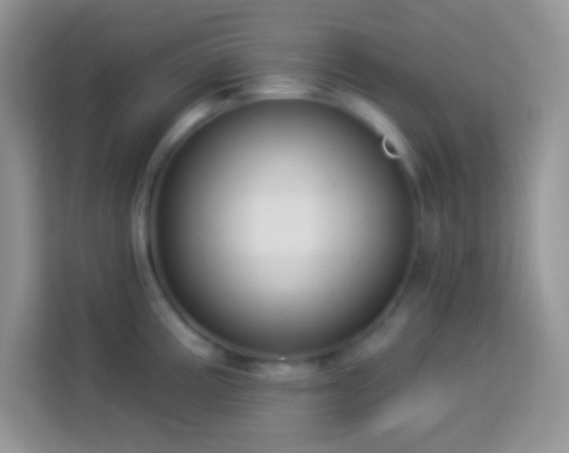 X0000114161195200910081347