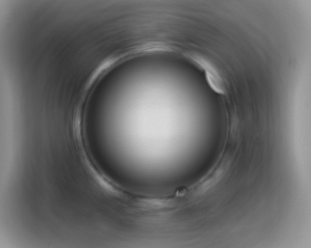 X0000114161197200910081347