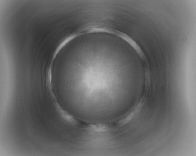 X0000114161198200910081347