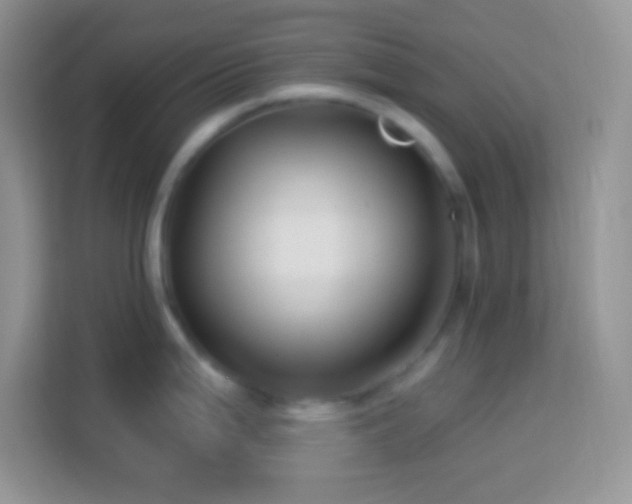 X0000114161199200910081347
